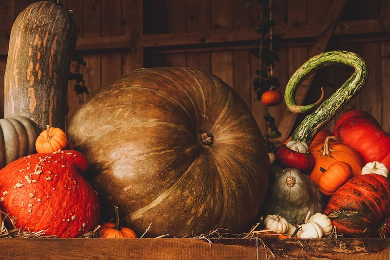 Witchy Harvests
