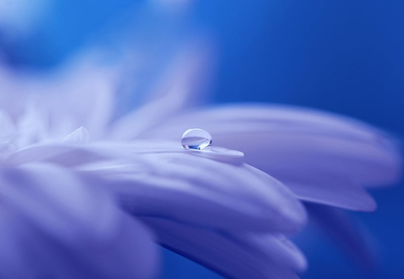 Tiny World Inspiration