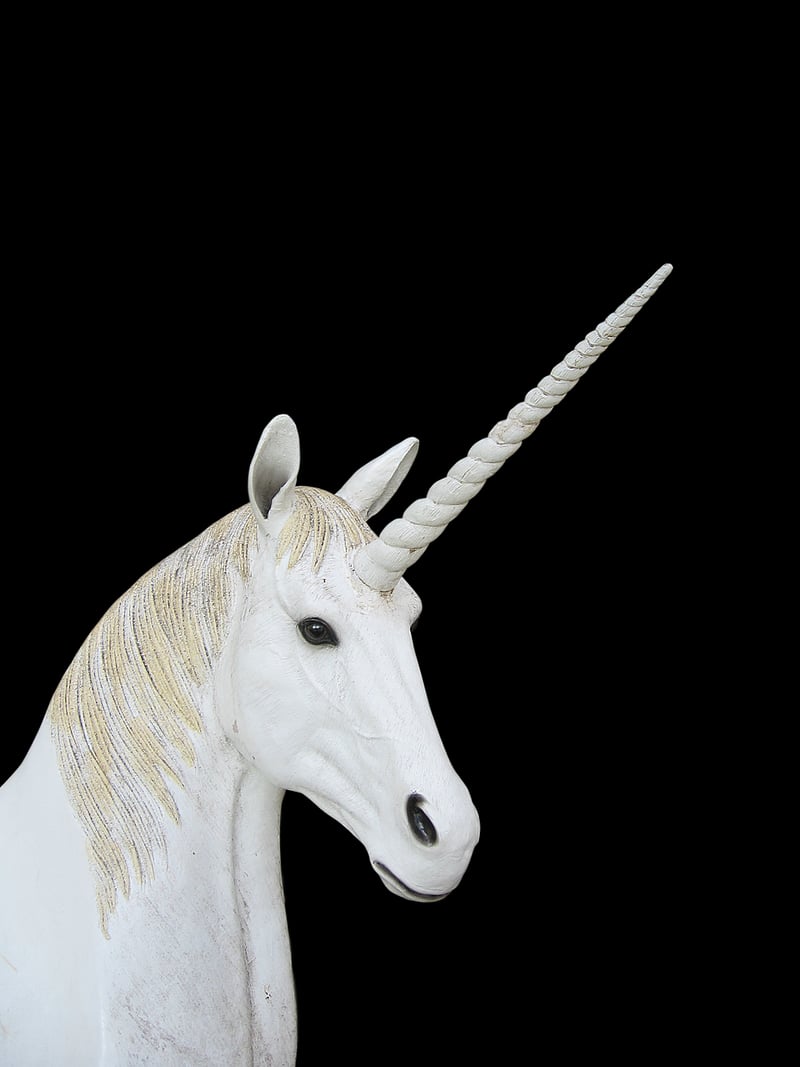 Unicorn in the forest